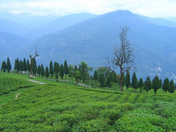 கியுசிங் கிராமம்