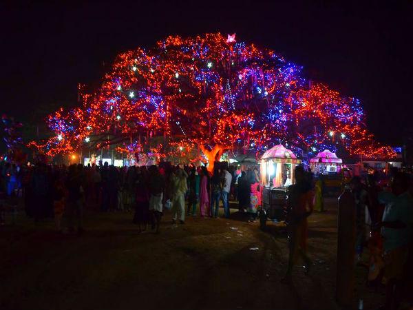 ஆடம்பரமான ஆடைகள் மற்றும் வண்ணம் பொங்கும் ஊர்வலம்: