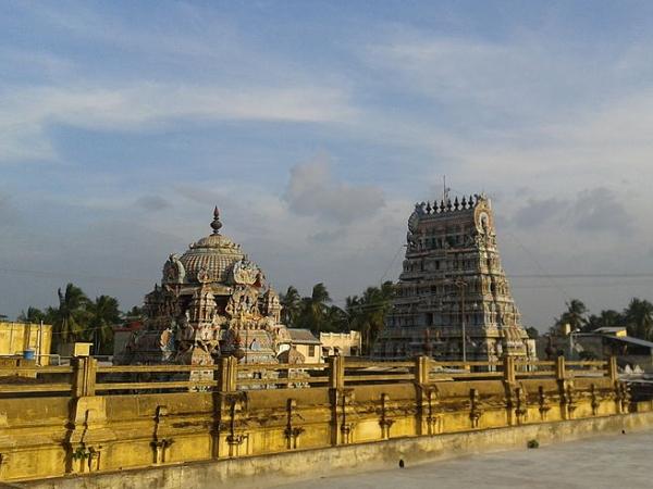நெல்லும், கரும்பும்