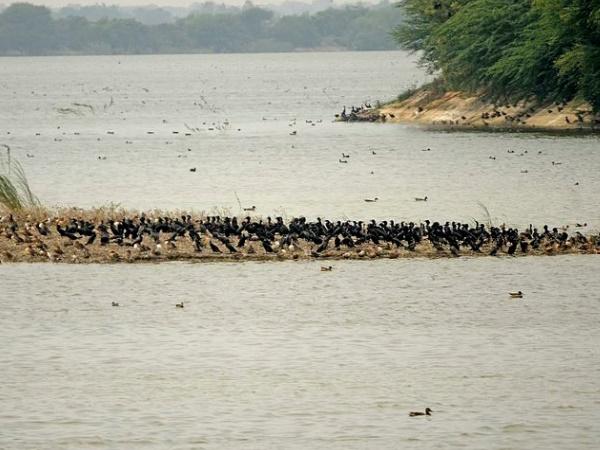 தீ ஆறு