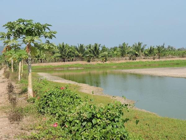 கடற்கரை கிராமங்கள்