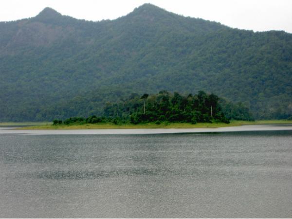 சிம்மின் காடுகள்