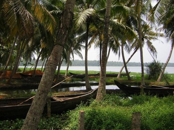 ஆக்குளம் கிராமம்