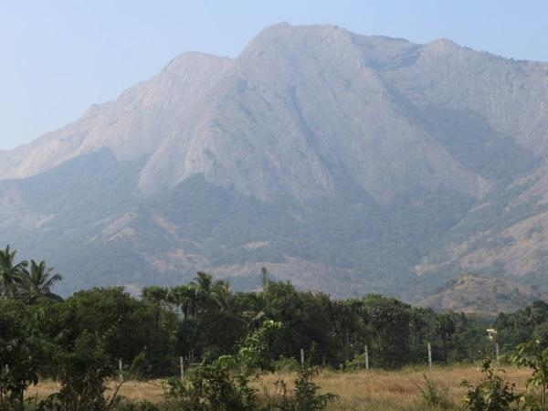 கோயம்புத்தூர்