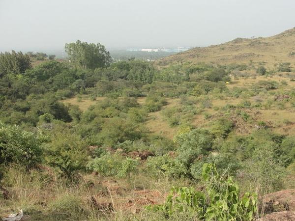 தங்கம் பொதிந்துள்ள மலை