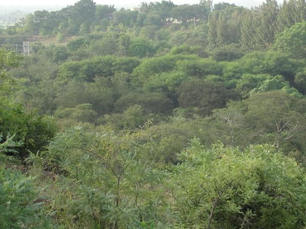 கொங்குமண்டலச் சதகம்