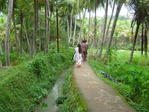 கடற்கரை சுற்றுலாத்தலம்