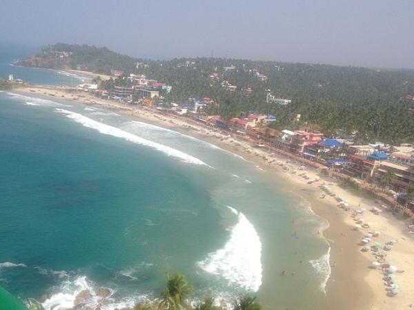 தென்னந்தோப்பு பகுதி