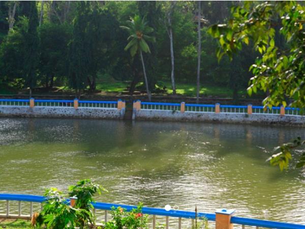 குரும்கல்