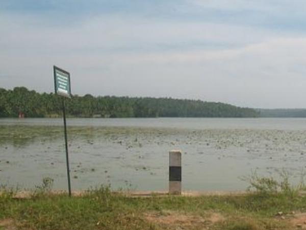 பீச்