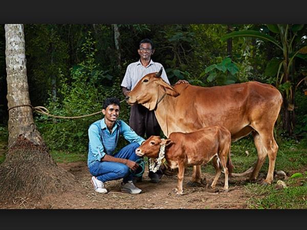 மாணிக்கம்