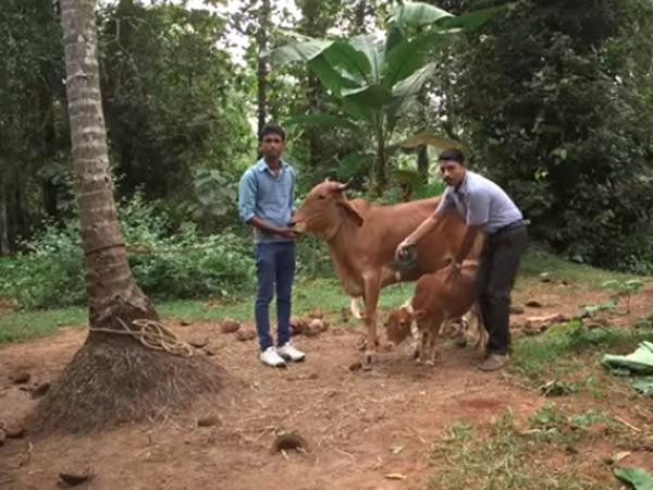 உலக அரங்கில் இடம்பெற்ற ஊர்