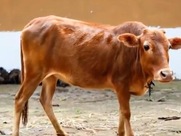 சமூகவலைத்தளங்களில் டிரெண்டிங்கில் மாணிக்கம்