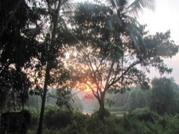 கலிபொயிக்கா