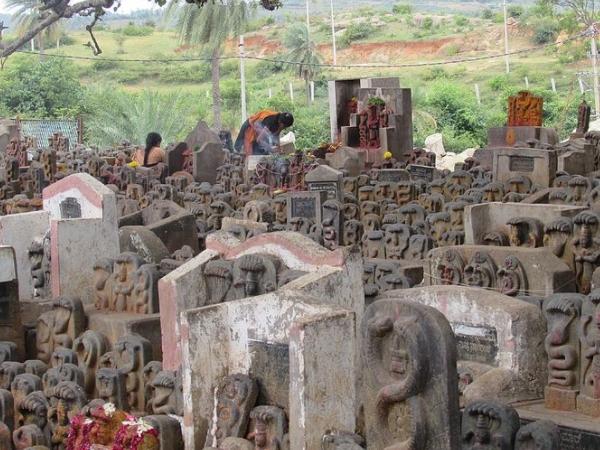 தனித்துவம்