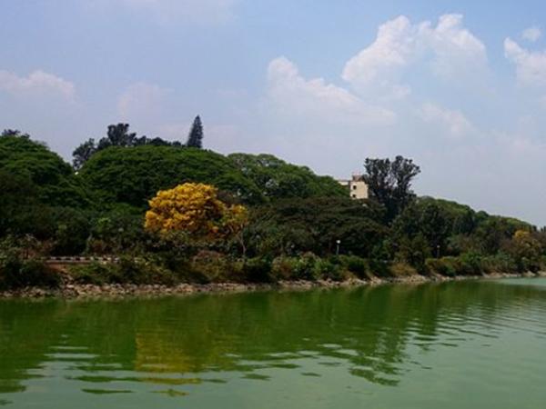 உல்சூர் ஏரி