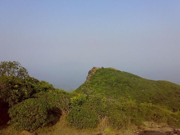 புஷ்பகிரி காட்டுயிர்