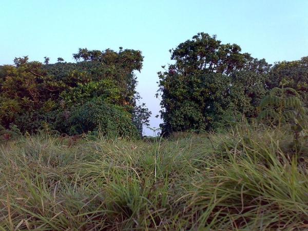 சாந்தமல்லிகார்ஜுனா கோயில்