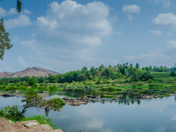 சங்கம்: