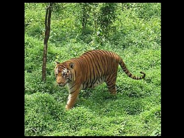முண்டந்துறை சுற்றுலா