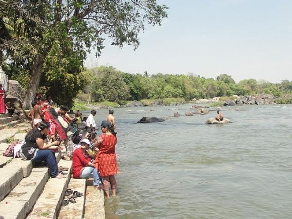 காவிரி ஆற்றங்கரைகள்