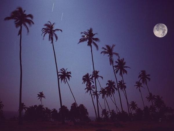 கோவாவில் ஆறுகள்