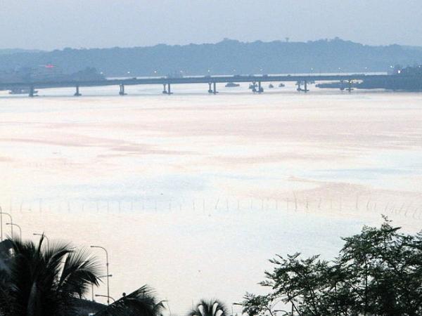 கோவாவின் எதிர்ப்பிற்கு காரணம்