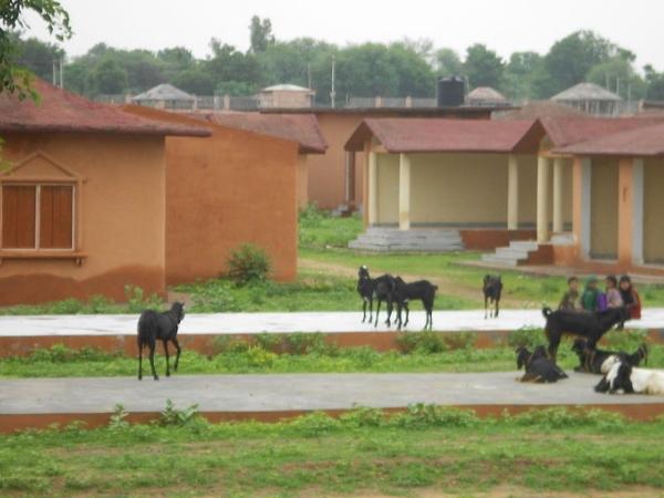ஷில்ப்கிராம் அருங்காட்சியகம்