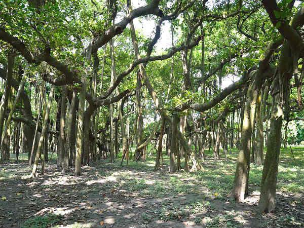 அருகிலுள்ள சுற்றுலாத் தளங்கள்