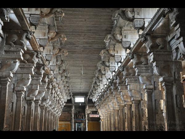 திருவானைகாவல்