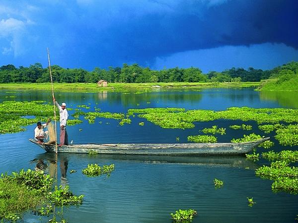 10. மாஜூலி செல்லும் வழியில் ஒரு பீர்