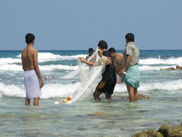 சொக்கி விடுவீர்கள்
