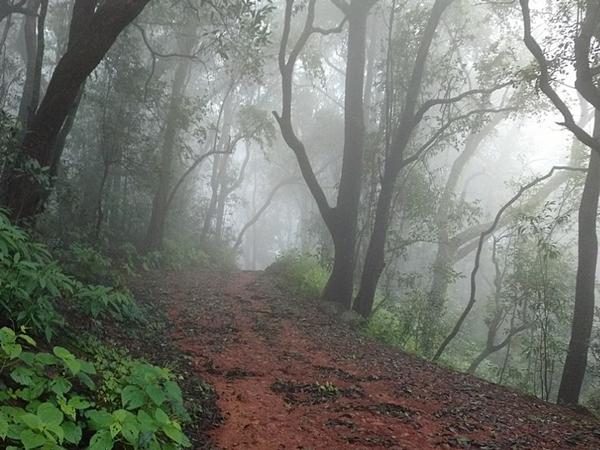 13. மாத்தேரான் மலைகல் மற்றும் சமவெளிகள் இடையே