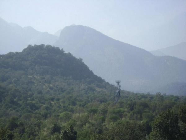 சின்னார் வனவிலங்கு சரணாலயம்