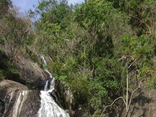 மங்கீ ஃபால்ஸ்
