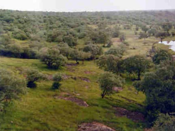 மாதவ் தேசிய பூங்கா