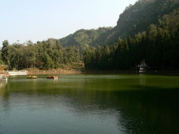 உணவு வகைகள்