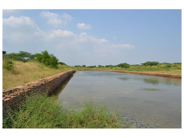 லோதால், குஜராத்