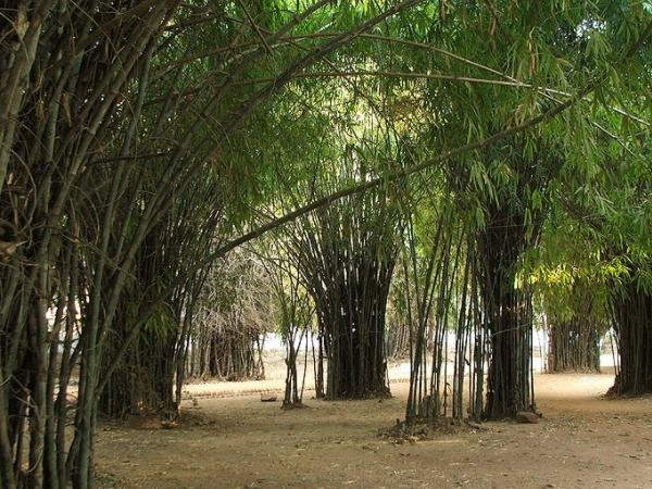 ஜெயின் மற்றும் புத்த மதங்கள்