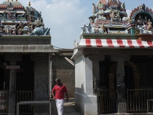 ஶ்ரீமல்லீஸ்வரர் கோவில் (புதன் ஸ்தலம்):