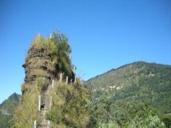 தசியமோ செனோ நெயினா
