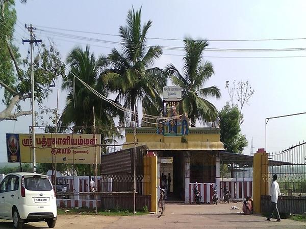 ஆலமரக்காடு
