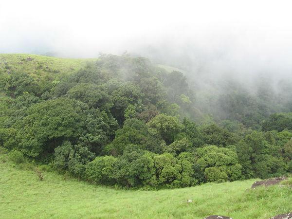 கோட்டஞ்சேரி மலைத்தொடர், மலோம்