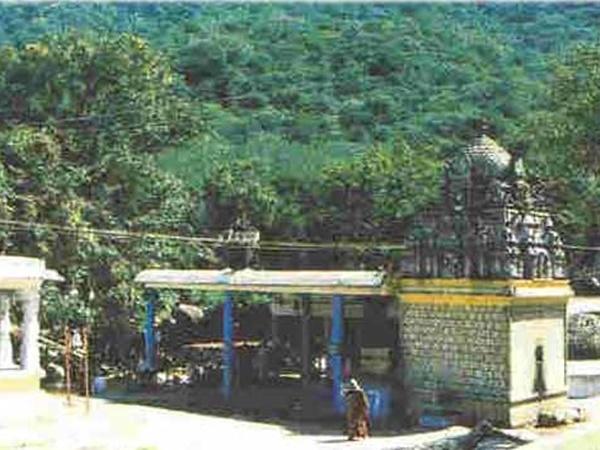 இயற்கைசூழ்ந்த வனக் கோவில்