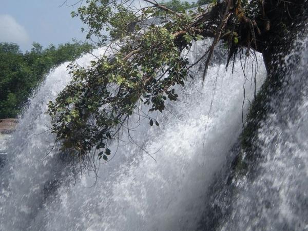 திற்பரப்பு அருவி