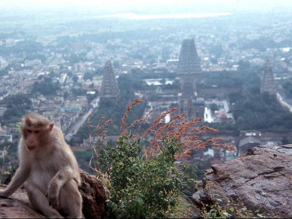 கோவை- பர்வதமலை