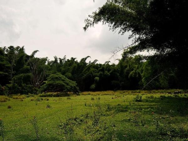 வண்டிப்பெரியார்