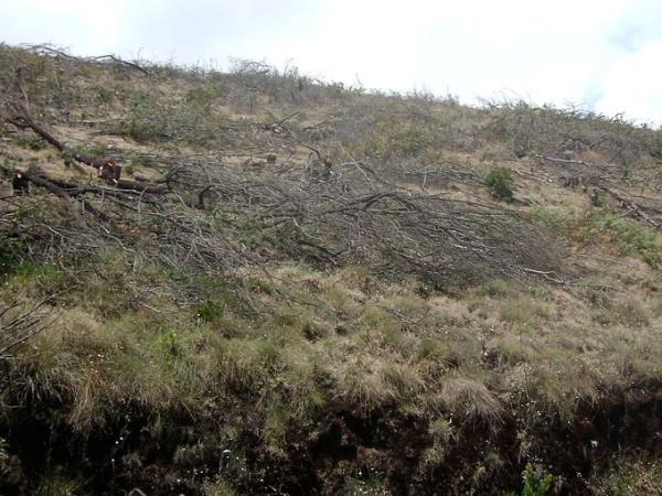 முக்கூர்த்தி
