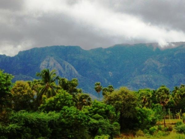 களக்காடு வனவிலங்கு சரணாலயம்