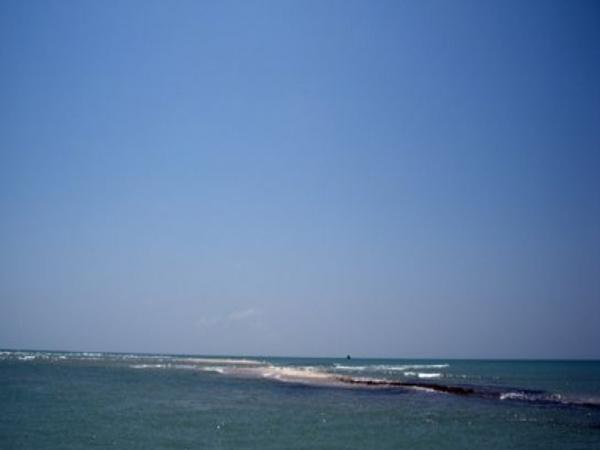 தனுஷ்கோடி
